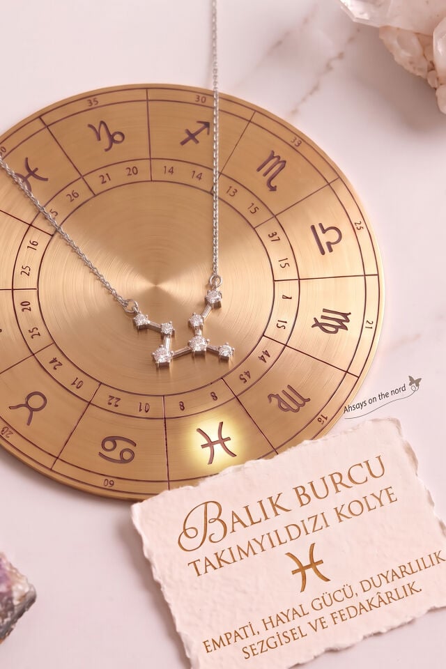 Gümüş Kaplama Yıldız Haritası Balık Burcu Pisces Çelik Kolye
