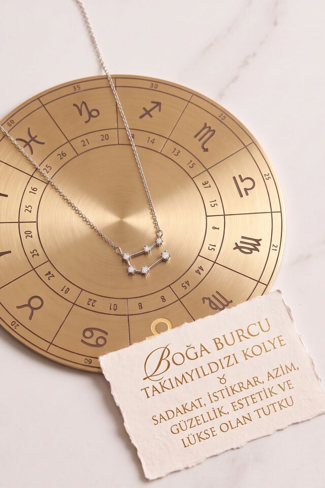 Gümüş Kaplama Yıldız Haritası Boğa Burcu Taurus Çelik Kolye