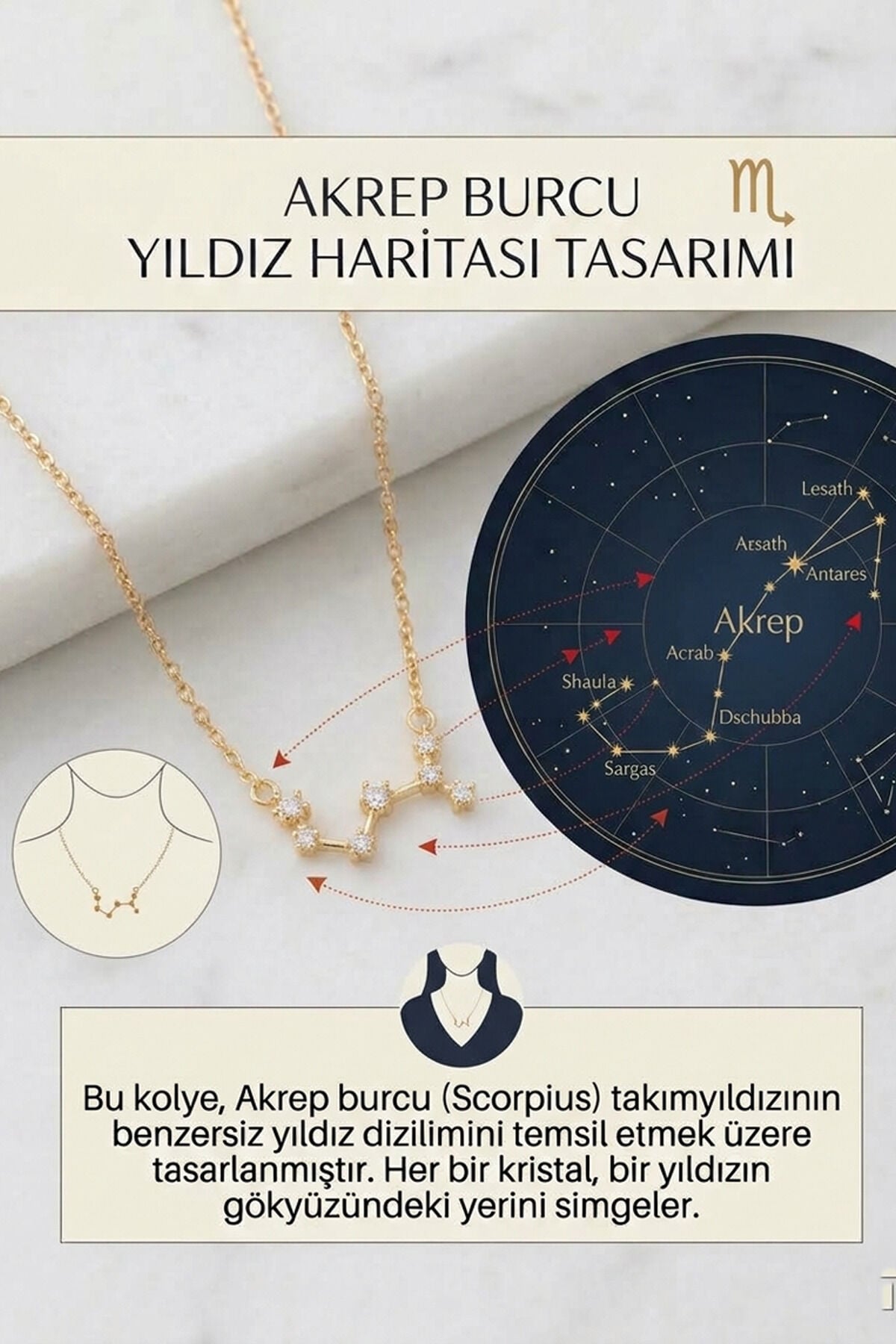 Yıldız Haritası Akrep Burçu Scorpio Çelik Kolye