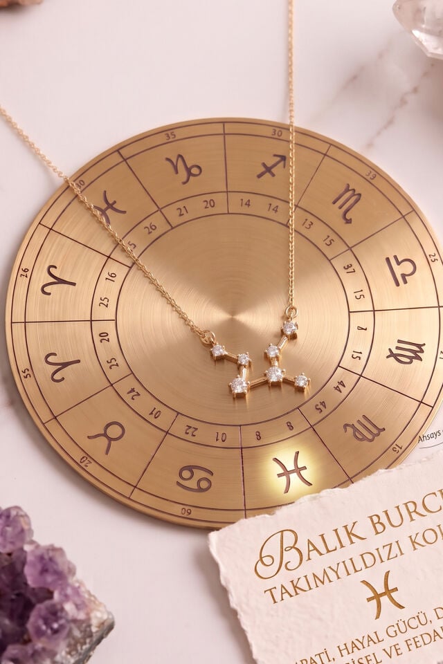 Yıldız Haritası Balık Burçu Pisces Çelik Kolye