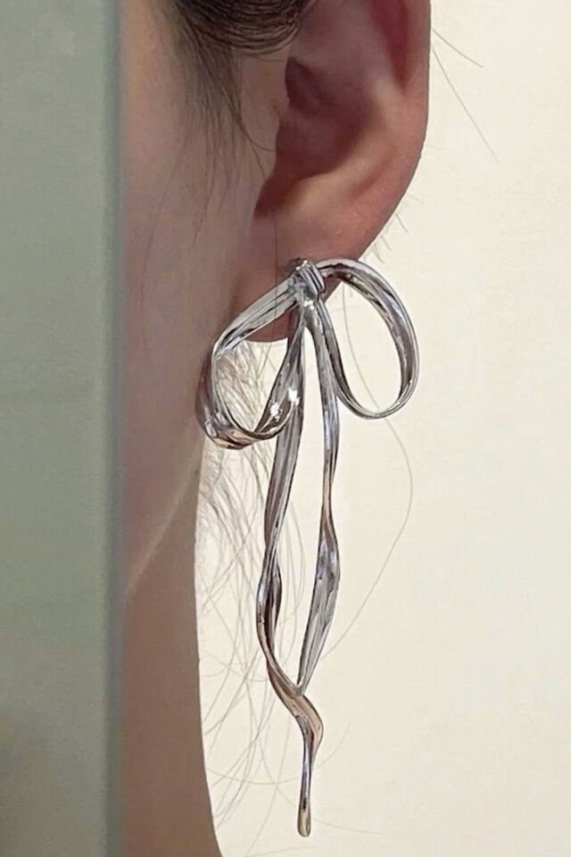 Kadın Silver Uzun Fiyonk Küpe