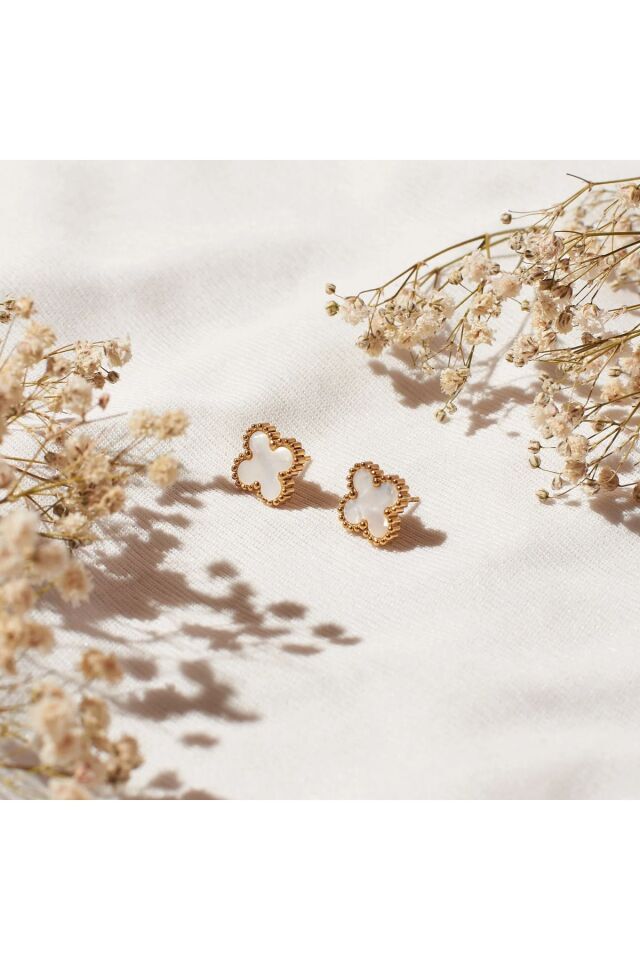 Altın Kaplama Sedef Renk Çelik Cleef Küpe