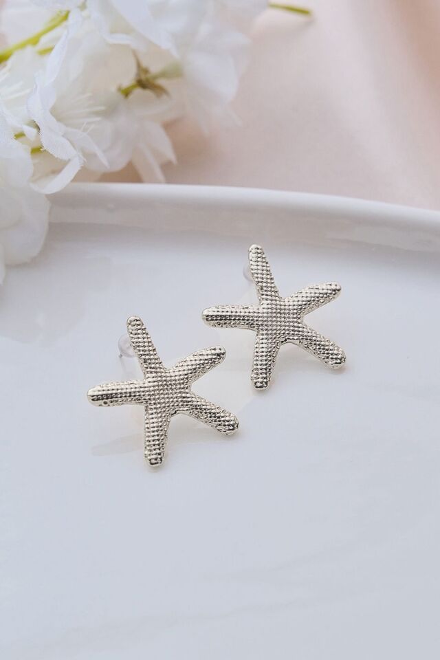 Silver Deniz Yıldızı Çizgili Küpe