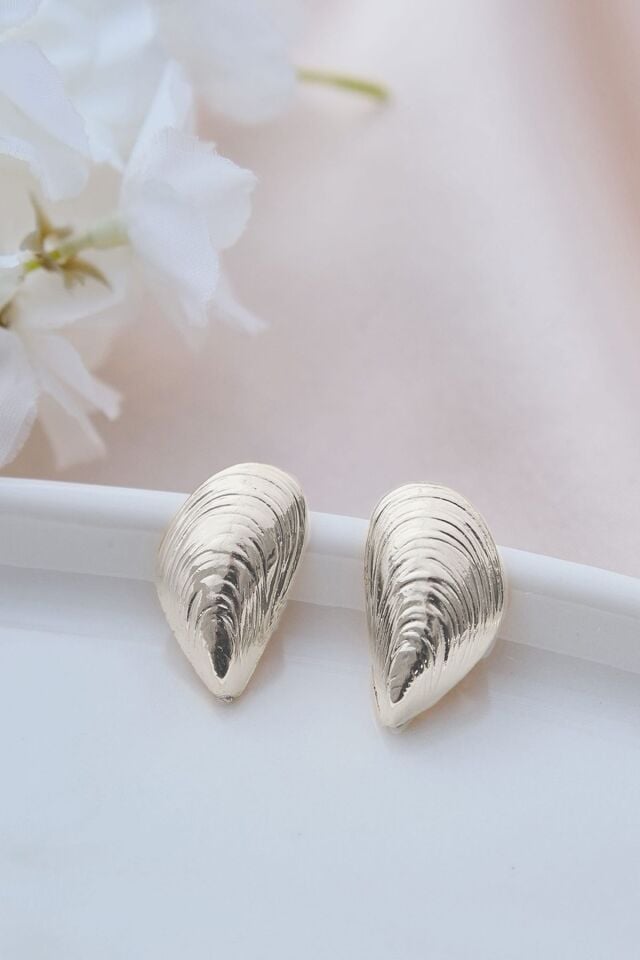 Silver Çizgili Deniz Kabuğu Küpe