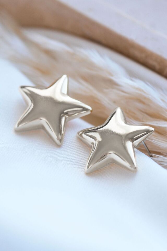 Silver Parlak Yıldız Küpe