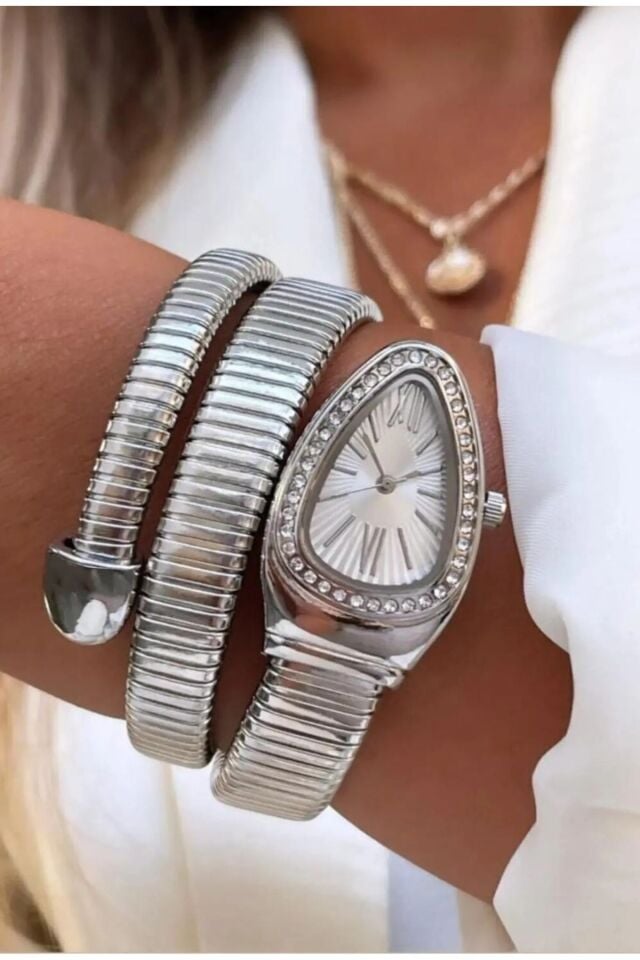 Silver Zirkon Taşlı Yılan Model Kadın Kol Saati